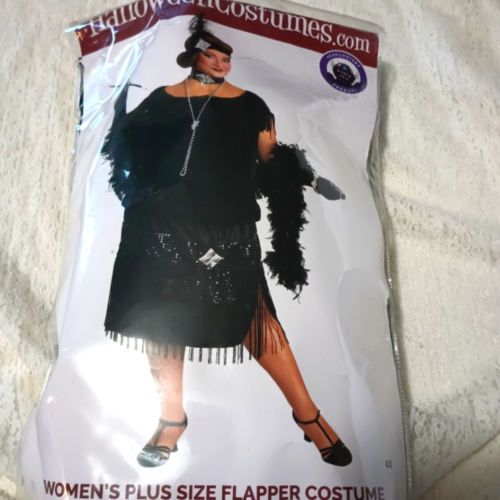 1920's Flapper Costume